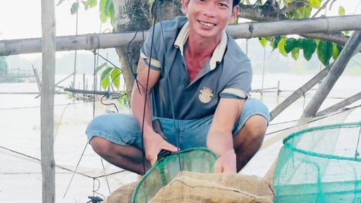 Đồng nước nổi An Giang, trên trời dưới 'trắng băng', thứ cá đồng gì đang chạy mạnh?