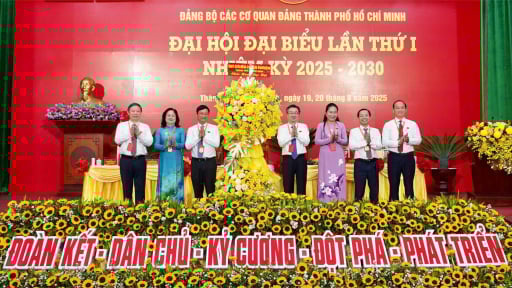 Ông Nguyễn Thanh Nghị giữ chức Bí thư Đảng ủy các cơ quan Đảng TP.HCM