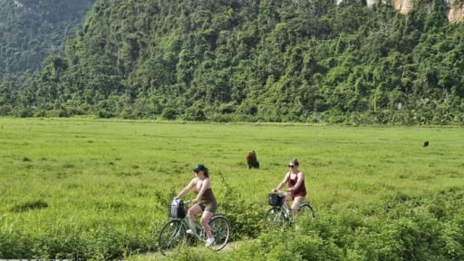 Ngôi làng đẹp như phim ví như làng giữa biển khơi Hải Phòng, vậy đó là làng nào?