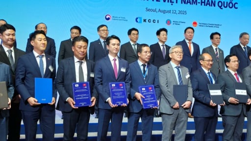 Thị trường tài sản số hôm nay 20/8: Việt Nam sắp thí điểm sàn giao dịch tài sản số, nhiều cổ phiếu tăng chóng mặt