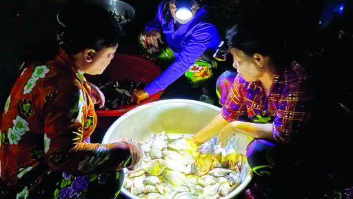 Chợ quê An Giang mùa nước nổi, bật đèn pin thấy cá ngon, nhìn đâu cũng ra sản vật