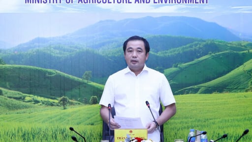 Quyền Bộ trưởng Trần Đức Thắng gợi mở hướng nhân rộng giống nho mới cho thu nhập 1 triệu USD/năm 