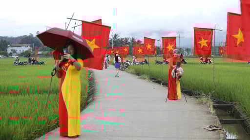 “Con đường cờ Tổ quốc” giữa cánh đồng lớn nhất Tây Bắc “gây sốt” mạng xã hội dịp 2/9