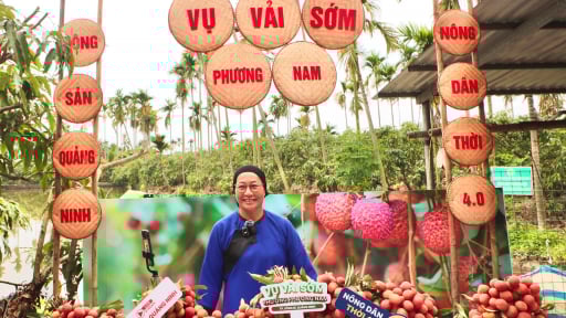 Chuyển đổi số, nâng tầm thương hiệu ở vùng trồng vải đặc sản của Quảng Ninh 