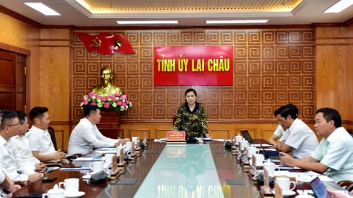Ban Thường vụ Tỉnh ủy Lai Châu làm việc với Tập đoàn Sun Group về phát triển hạ tầng công nghệ số