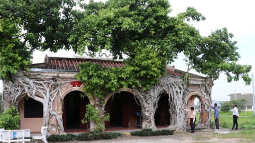 Ở tỉnh Đồng Tháp mới, ngôi đình cổ được 2 cây cổ thụ hình thù kỳ dị ôm trọn trong lòng, hễ đến xem là chụp hình