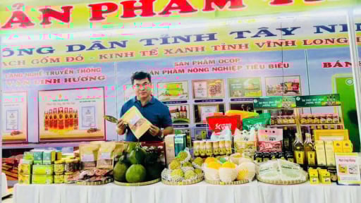 Tỉnh Tây Ninh mới, đột phá với mô hình trồng nấm vân chi đỏ, hướng đi mới cho nông nghiệp sạch