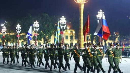Lịch sử ít biết về những “chú voi” của quân đội Nga diễu binh trên Quảng trường Ba Đình
