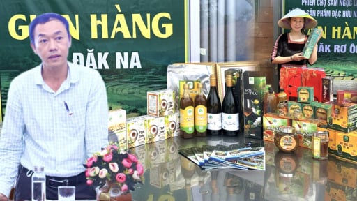 Sản vật phía Tây sẽ là “đầu tàu” tại Hội chợ Công Thương và OCOP Quảng Ngãi – 2025