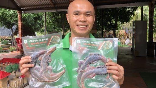 Vì sao người ta cứ thích món bánh xèo đúc thịt con dông, rau rừng do anh nông dân ở phố biển Lâm Đồng chế biến?
