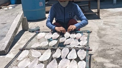 Hải sản vùng biển Lâm Đồng (tỉnh Bình Thuận cũ), trên trời dưới cá khô, mực khô
