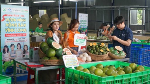 Bất ngờ luôn, đây là cách bán hàng ở Vĩnh Long khiến nông sản, đặc sản 'cháy hàng'