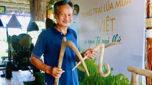 Lão nông An Giang quyết làm lúa theo thời 'ông bà ta', trồng toàn giống cổ, 6 tháng mới được ăn mà ai cũng mê