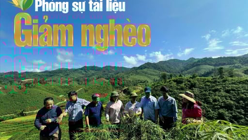 Những mùa quả ngọt từ hành trình thoát nghèo ở Điện Biên