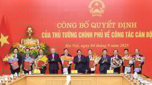 Thủ tướng trao quyết định của Bộ Chính trị cho ông Lê Hoài Trung và quyết định bổ nhiệm 8 nhân sự lãnh đạo