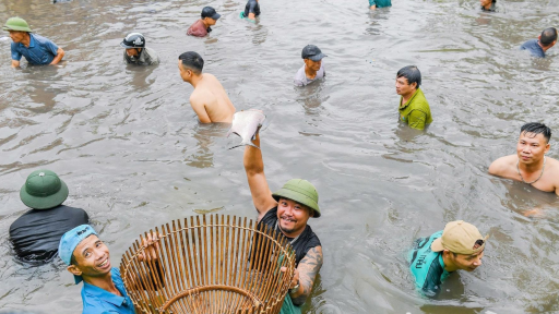 Cả làng này ở Hải Phòng, vừa huy động 1.000 cái nơm, dân đồng loạt xuống ao úp cá to bự