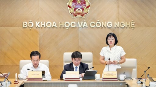 Kinh tế số Việt Nam: Từ sân chơi bình đẳng đến khát vọng vươn ra thế giới