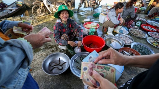 Vô Huế mà đi chợ làng biển, trên trời, dưới cá ngon, ngay cái đầm nước lợ khổng lồ này