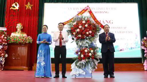 Trường Cao đẳng Lai Châu cần đẩy mạnh ứng dụng công nghệ thông tin, chuyển đổi số trong quản lý, giảng dạy và học tập