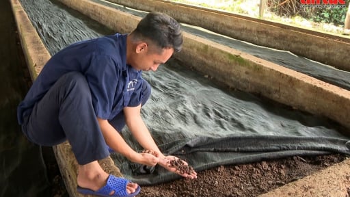 ‘Biến’ bùn thải thành phân bón hữu cơ đang giúp những doanh nghiệp cao su nào ở Việt Nam hái ra tiền?