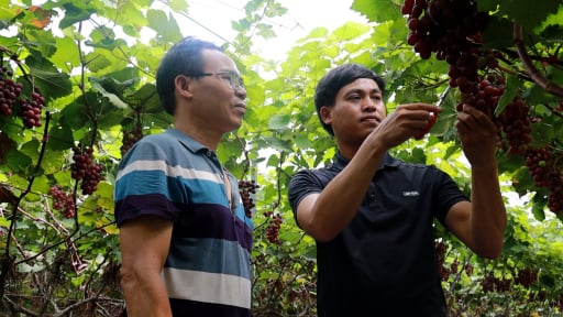 Hà Nội: Xã Hưng Đạo xây dựng nông thôn mới gắn với du lịch sinh thái, du lịch văn hóa