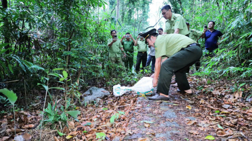 Phát hiện con trăn hơn 11kg trong khuôn viên, Trại giam Sông Cái ở Khánh Hòa giao nộp cho lực lượng chức năng