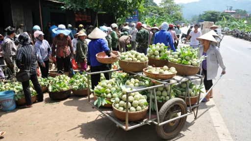 Hướng tới Đại hội toàn quốc Hội Nông dân Việt Nam lần thứ IX: Từ thủ phủ na Chi Lăng, nông dân kỳ vọng điều thiết thực