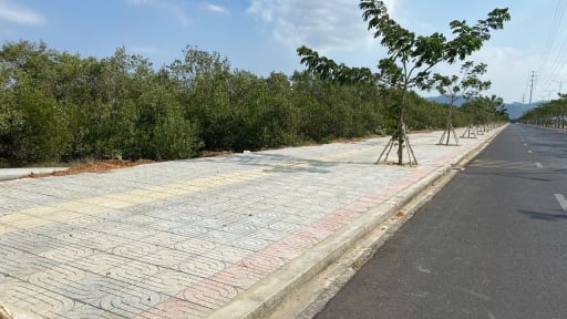 Thắng kiện gần 3 năm, sổ đỏ của d&acirc;n vẫn &ldquo;nằm tr&ecirc;n giấy&rdquo; v&igrave; ch&iacute;nh quyền bắt bẻ c&acirc;u chữ