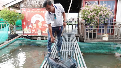Ch&agrave;ng trai Cần Thơ kiếm 1 tỷ/năm từ m&ocirc; h&igrave;nh nu&ocirc;i c&aacute; kết hợp du lịch tr&ecirc;n s&ocirc;ng Hậu