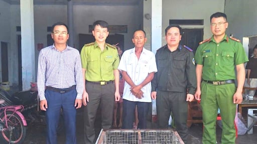 Ph&aacute;t hiện kỳ đ&agrave; hoa qu&yacute; hiếm khi l&agrave;m vườn, người d&acirc;n H&agrave; Tĩnh tự nguyện giao nộp cơ quan chức năng