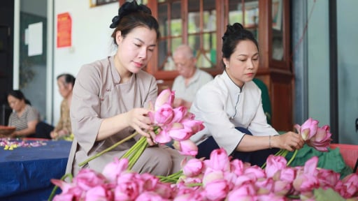 'Thi&ecirc;n cổ đệ nhất tr&agrave;' gi&aacute; chục triệu đồng mỗi kg: Điều g&igrave; l&agrave;m n&ecirc;n gi&aacute; trị đặc biệt ấy?