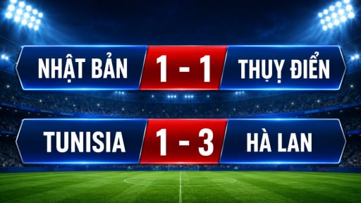 Kết quả bảng F World Cup 2026: H&agrave; Lan, Nhật Bản gi&agrave;nh v&eacute; v&agrave;o v&ograve;ng 1/16