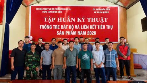 Xu&acirc;n Quang chuyển giao kỹ thuật trồng tre B&aacute;t Độ, mở hướng ph&aacute;t triển n&ocirc;ng nghiệp theo chuỗi gi&aacute; trị