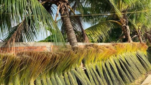 N&oacute;n l&aacute;, đồ đẹp đan từ cỏ dại mọc hoang ở Tiền Giang cũ, nay l&agrave; tỉnh Đồng Th&aacute;p mới, b&aacute;n th&agrave;nh c&ocirc;ng ra chợ thế giới