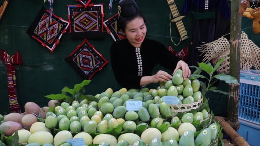 D&aacute;n thứ g&igrave; l&ecirc;n quả xo&agrave;i, quả mận, hạt c&agrave; ph&ecirc; Sơn La m&agrave; mang b&aacute;n dễ hơn hẳn?