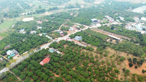N&ocirc;ng nghiệp xanh, kinh tế tuần ho&agrave;n, chuyển đổi số thay đổi diện mạo n&ocirc;ng th&ocirc;n Sơn La