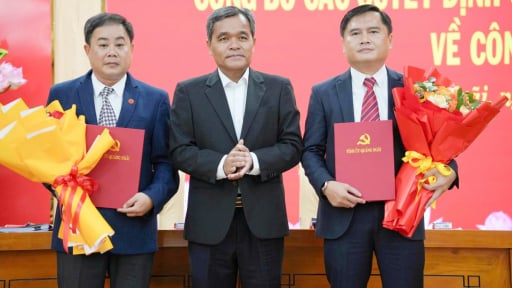 Ban B&iacute; thư chuẩn y 2 nh&acirc;n sự tại Ủy ban Kiểm tra Tỉnh ủy Quảng Ng&atilde;i