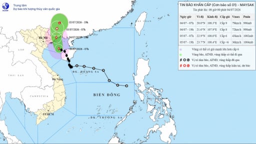 Tin b&atilde;o mới nhất, b&atilde;o số 1 MAYSAK đổ bộ v&ugrave;ng biển Quảng Ninh, mưa lớn tr&uacute;t xuống Đ&ocirc;ng Bắc Bộ