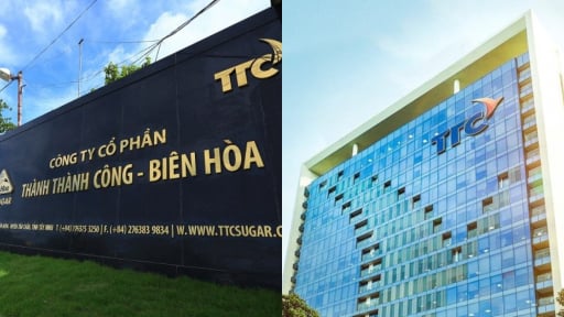 Th&ecirc;m một doanh nghiệp trong hệ sinh th&aacute;i TTC Group bị phạt li&ecirc;n quan đến tr&aacute;i phiếu