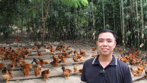 B&iacute; quyết n&agrave;o gi&uacute;p anh n&ocirc;ng d&acirc;n Lạng Sơn tay trắng x&acirc;y dựng thương hiệu g&agrave; đặc sản 'ch&aacute;y h&agrave;ng' mỗi m&ugrave;a cưới hỏi, lễ, Tết?