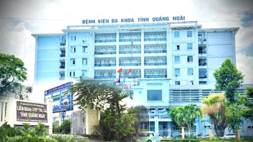 Bổ nhiệm nh&acirc;n sự một số cơ quan, Chủ tịch uỷ quyền điều h&agrave;nh cho Ph&oacute; Chủ UBND tỉnh Quảng Ng&atilde;i 