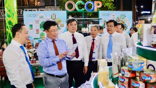 Đặc sản thốt nốt, 'thi&ecirc;n đường mắm', gạo An Giang 'l&ecirc;n đời' nhờ chương tr&igrave;nh OCOP