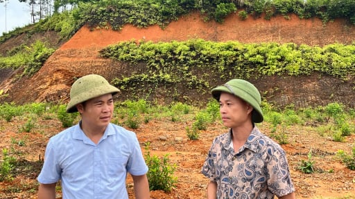 Trồng một lần m&agrave; thu hoạch suốt 10 năm, m&ocirc; h&igrave;nh 'độc lạ' n&agrave;y đang gi&uacute;p anh n&ocirc;ng d&acirc;n Lạng Sơn c&oacute; kinh tế khấm kh&aacute;