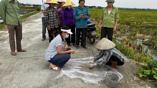 C&aacute;n bộ cầm tay chỉ việc hướng dẫn n&ocirc;ng d&acirc;n xử l&yacute; rơm rạ sau thu hoạch, c&aacute;nh đồng ở Kinh Bắc hết lo &ocirc; nhiễm