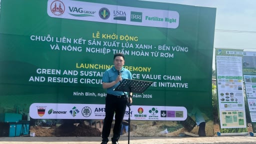 Khởi động m&ocirc; h&igrave;nh trồng l&uacute;a xanh ở Ninh B&igrave;nh: Giảm hơn 25% chi ph&iacute;, tăng năng suất, biến rơm rạ th&agrave;nh 'v&agrave;ng'