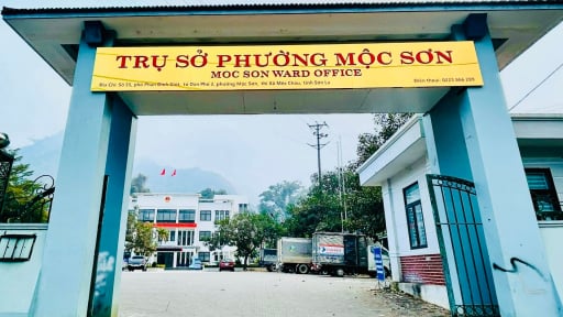 UBND phường Mộc Sơn: Vụ giả mạo 'Việt quất Mộc Ch&acirc;u' g&acirc;y hệ lụy nghi&ecirc;m trọng đến uy t&iacute;n thương hiệu n&ocirc;ng sản Sơn La