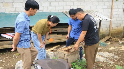 Nu&ocirc;i gần 1.900 tổ ong bạc h&agrave;, địa phương n&agrave;y ở Tuy&ecirc;n Quang tăng cường kiểm so&aacute;t chất lượng để giữ thương hiệu