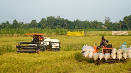 GRDP An Giang tăng 8,83% 6 th&aacute;ng đầu năm: Dẫn đầu ĐBSCL, quyết t&acirc;m bứt ph&aacute; tr&ecirc;n 10,71% năm 2026