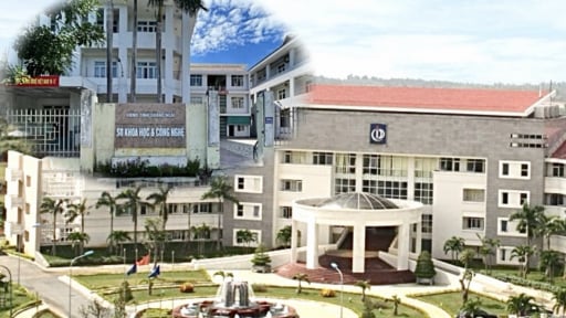 Khai trừ Đảng 1 nguy&ecirc;n Trưởng ph&ograve;ng ở Quảng Ng&atilde;i, xem x&eacute;t kết quả x&aacute;c minh k&ecirc; khai t&agrave;i sản, thu nhập của 6 c&aacute;n bộ