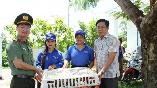   Trao 500 con g&agrave; giống cho thanh ni&ecirc;n đồng b&agrave;o d&acirc;n tộc thiểu số x&atilde; Cam Hiệp (Kh&aacute;nh H&ograve;a) 